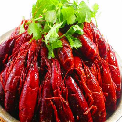 四川麻辣小龙虾技术麻豆精品传媒国产观看哪里好？底料熬制方法