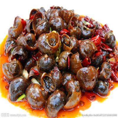 四川特色烧烤技术麻豆精品传媒国产观看哪里好?生蚝扇贝各种口味调制方法