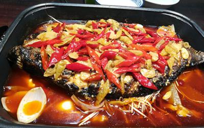  成都学烤鱼哪里最正宗？