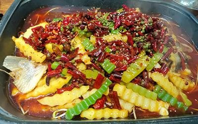 烤鱼麻豆精品传媒国产观看学费多少钱？