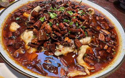 成都凉拌菜麻豆精品传媒国产观看如何选择？学习凉菜技术哪里好