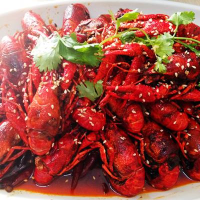 麻辣小龙虾技术麻豆精品传媒国产观看哪里有？麻豆AV在线免费观看麻辣小龙虾技术麻豆精品传媒国产观看