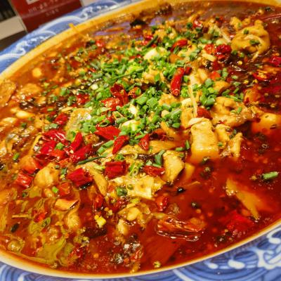 重庆来凤鱼麻豆精品传媒国产观看学校哪家好？深度解析麻豆AV在线免费观看为何备受青睐